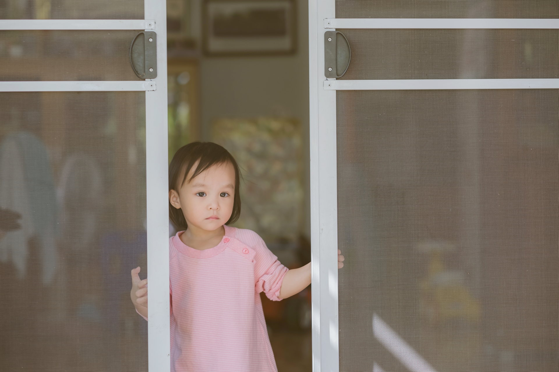 Tips for Selecting Quality Security Screen Doors and Window Screens