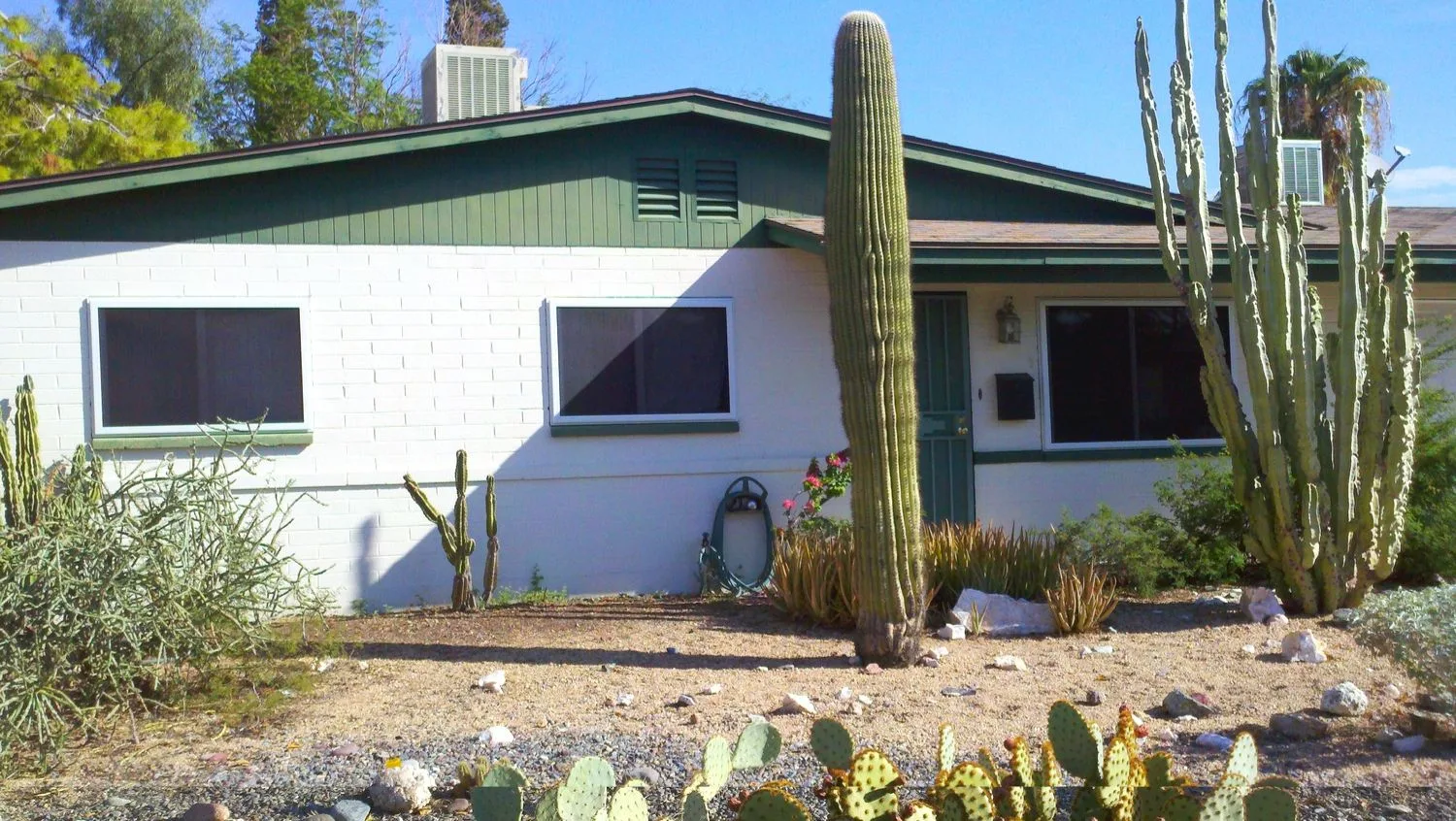 Green House After Security Window Screens 2